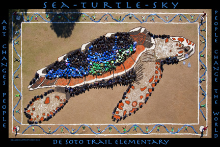 turtle