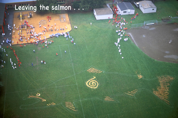 salmon gone